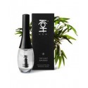 Couche de Finition Ongles - Top Coat Bamboo - KOH